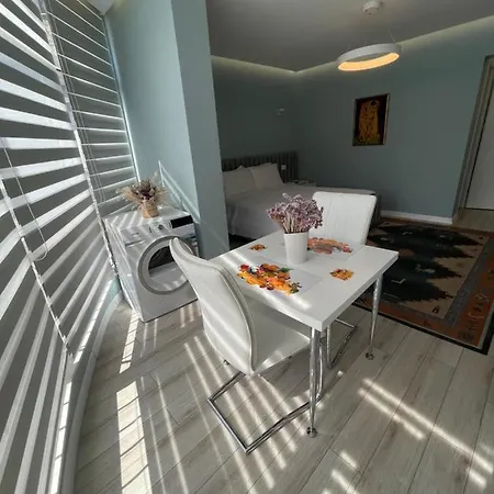 Διαμέρισμα Comfort In Center *