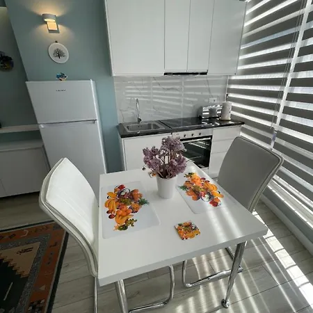 Comfort In Center Apartment Tirana
