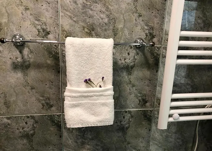 Comfort In Center טיראנה