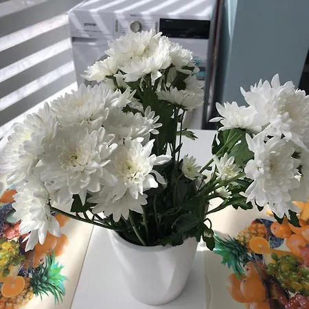 Comfort In Center * Tirana