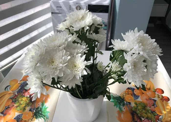 Comfort In Center * Tirana